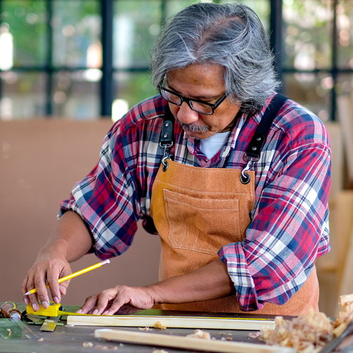 BLP SUPPORT PROGRAMME 500×500