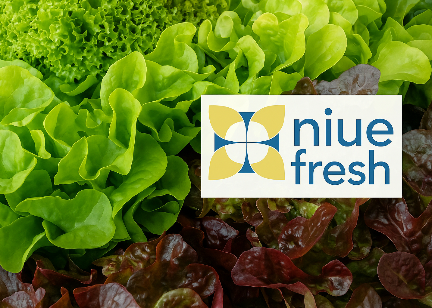 Niue Fresh