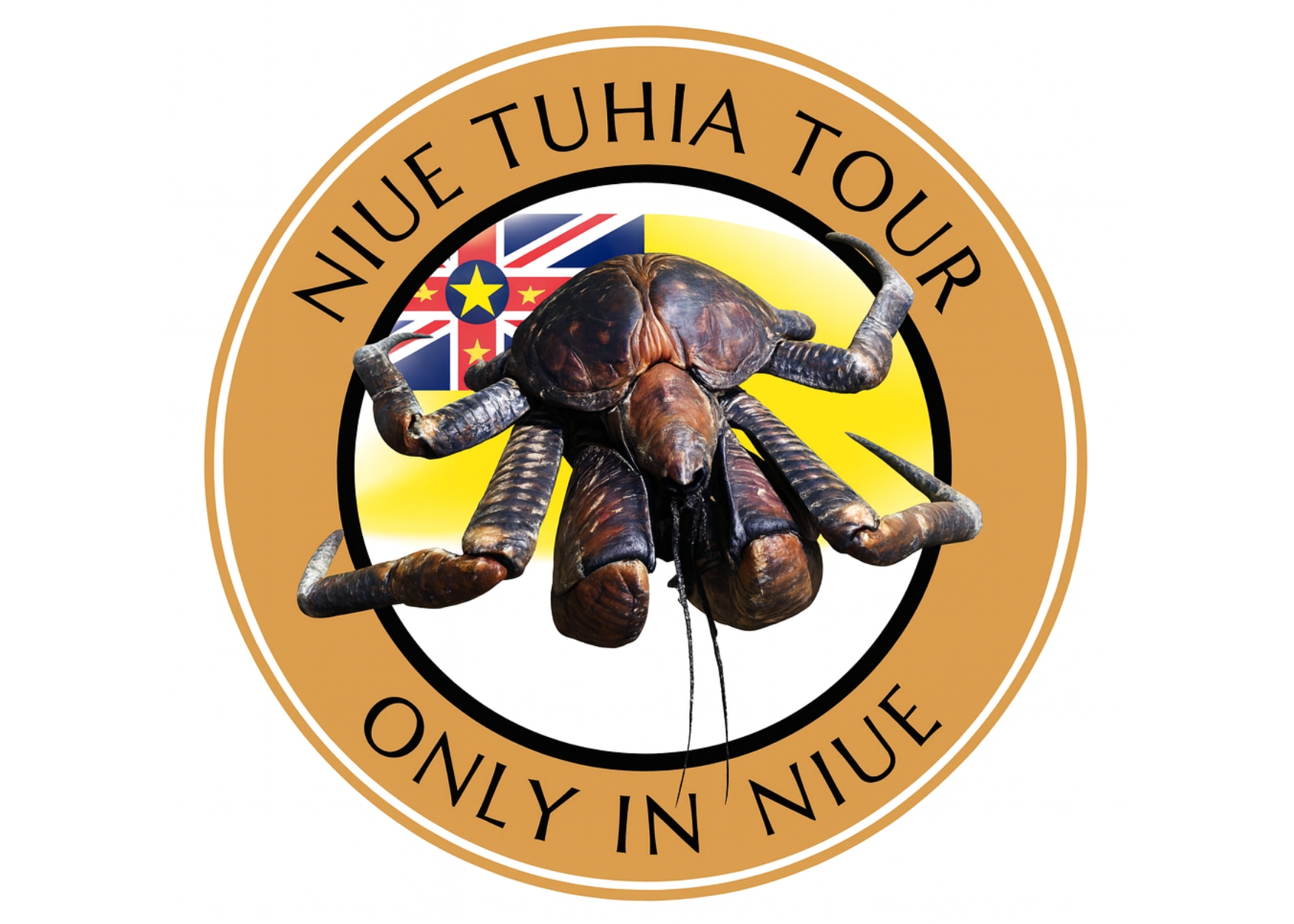 Template for the Home (Biz Ad) Tab